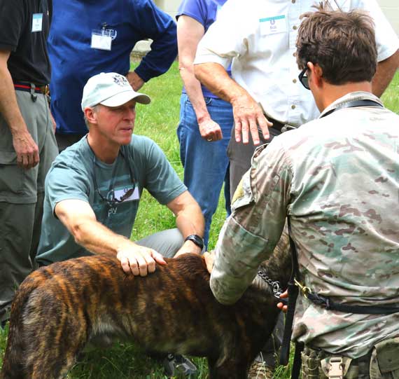 medical therapy dog for soldier with PTSD